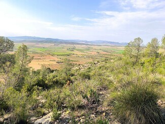 Plus de détails pour Terrain à vendre