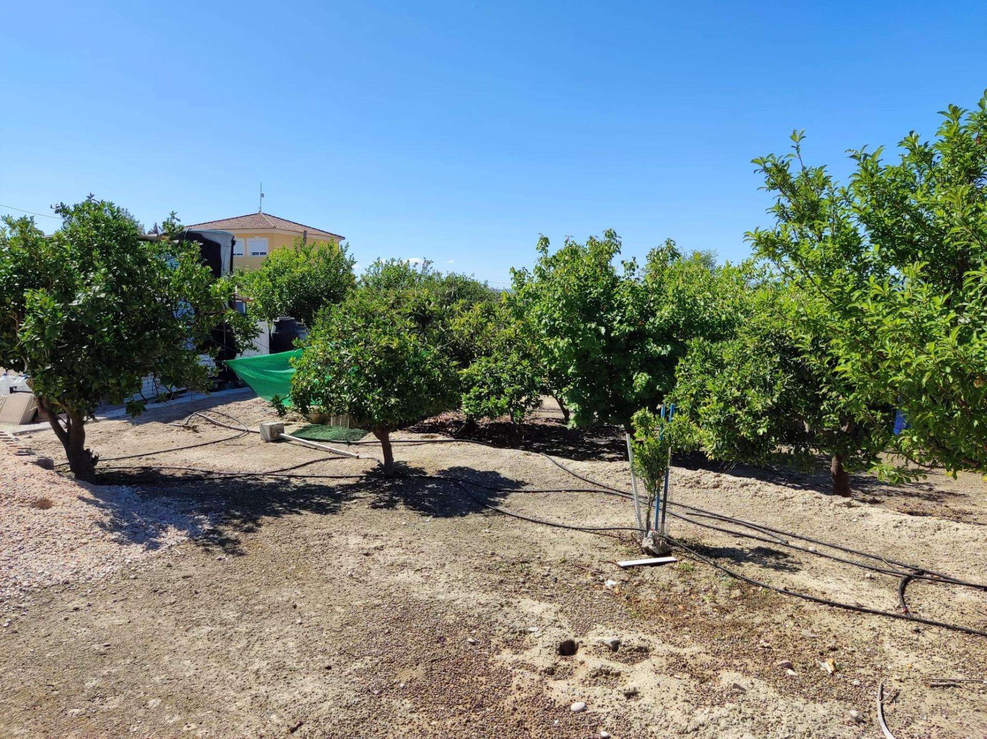 Terrain dans Molina de Segura, Murcia à vendre Photo du bâtiment- Image 1 de 14