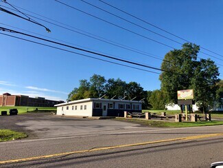 Plus de détails pour 2121 State Route 96, Clifton Springs, NY - Commerce de détail à vendre