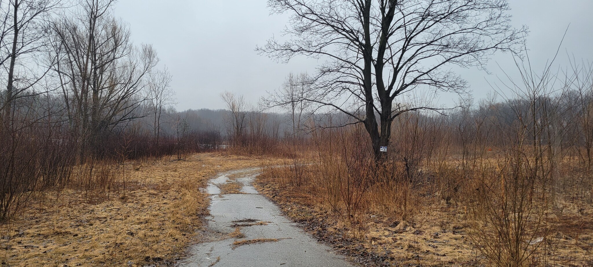 4125 Flint Road, Brighton, MI à vendre Photo principale- Image 1 de 2