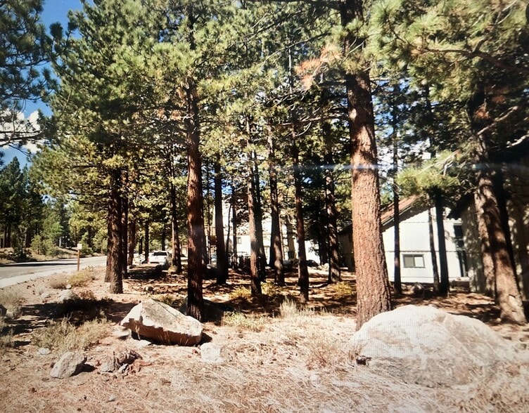 558 Lupin St, Mammoth Lakes, CA for sale - Other - Image 1 of 4