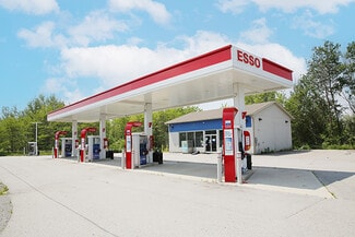 Plus de détails pour 3172 Highway 115, Clarington, ON - Commerce de détail à vendre