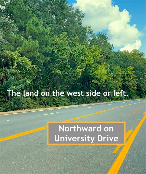 Nouth University Drive, Nacogdoches, TX à vendre - Autre - Image 3 de 5