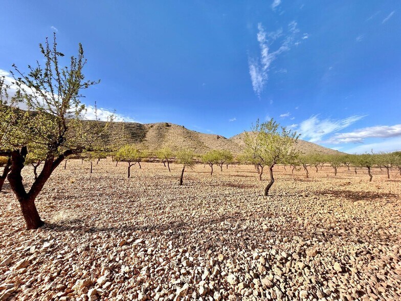 Terrain dans Orihuela, Alicante à vendre - Aérien - Image 1 de 5
