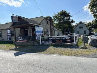 Plus de détails pour 3235 Rauchtown Rd, Jersey Shore, PA - Vente au détail à vendre