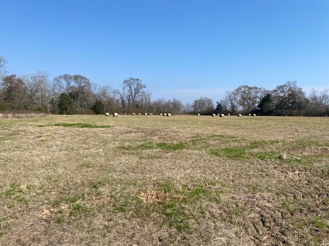 Hwy 103, Washington, LA for sale - Other - Image 2 of 7