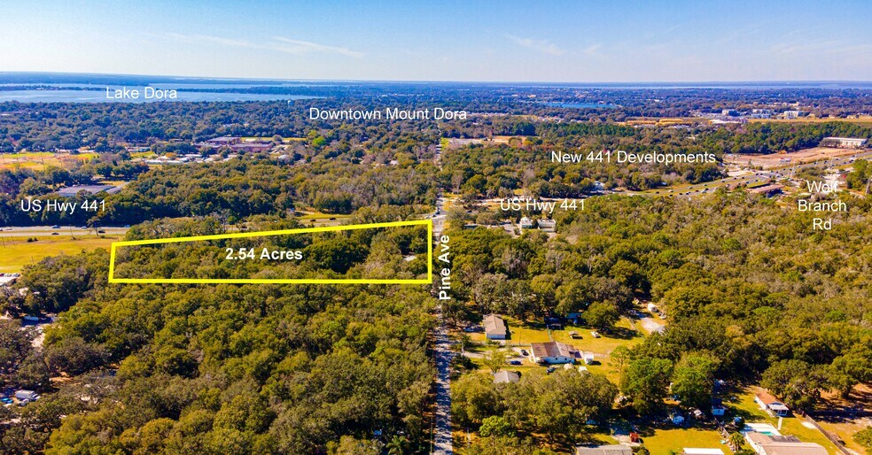 0 0 Pine Avenue, Mount Dora, FL à vendre - Photo du bâtiment - Image 2 de 6