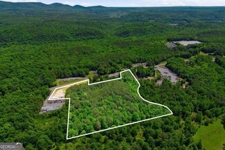 Plus de détails pour 2900 Hwy 53 E, Jasper, GA - Terrain à vendre