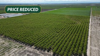 More details for 9495 W Kamm Ave, Riverdale, CA - Land for Sale