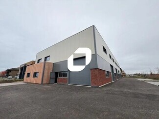 Plus de détails pour Flex à vendre