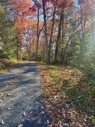 More details for 58 Martin Ln, Nallen, WV - Land for Sale