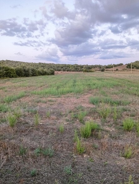 Land in Manacor, Islas Baleares for sale - Building Photo - Image 2 of 3
