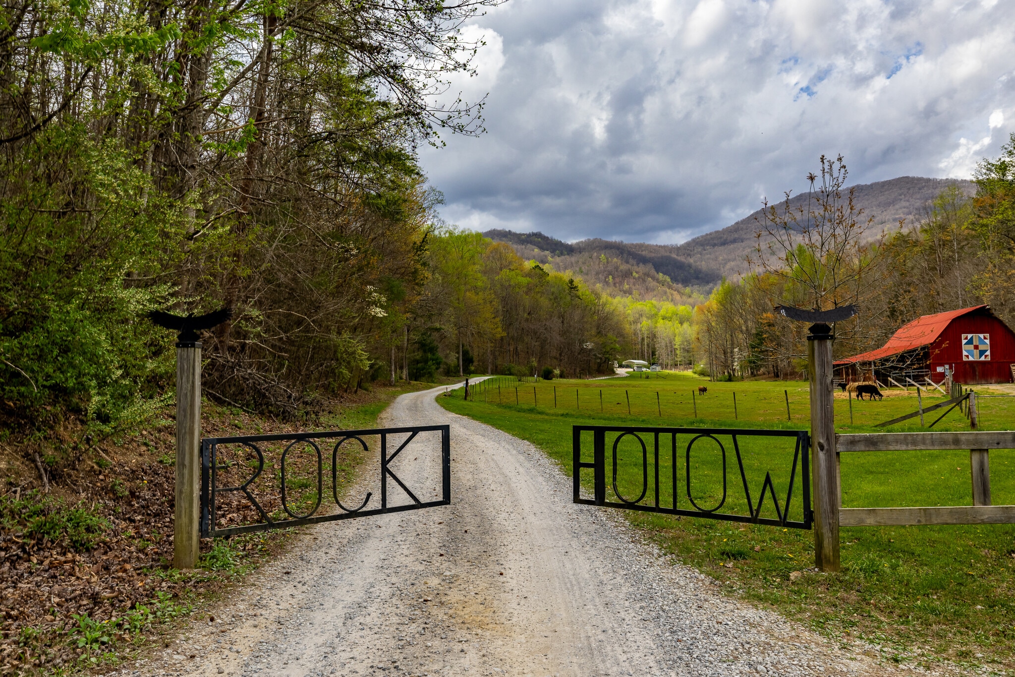 1534 Cove Ln, Oliver Springs, TN for sale Primary Photo- Image 1 of 11