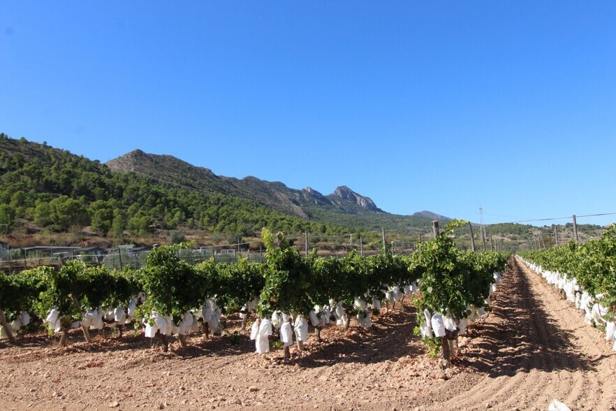 Terrain dans La Romana, Alicante à vendre - Aérien - Image 3 de 3