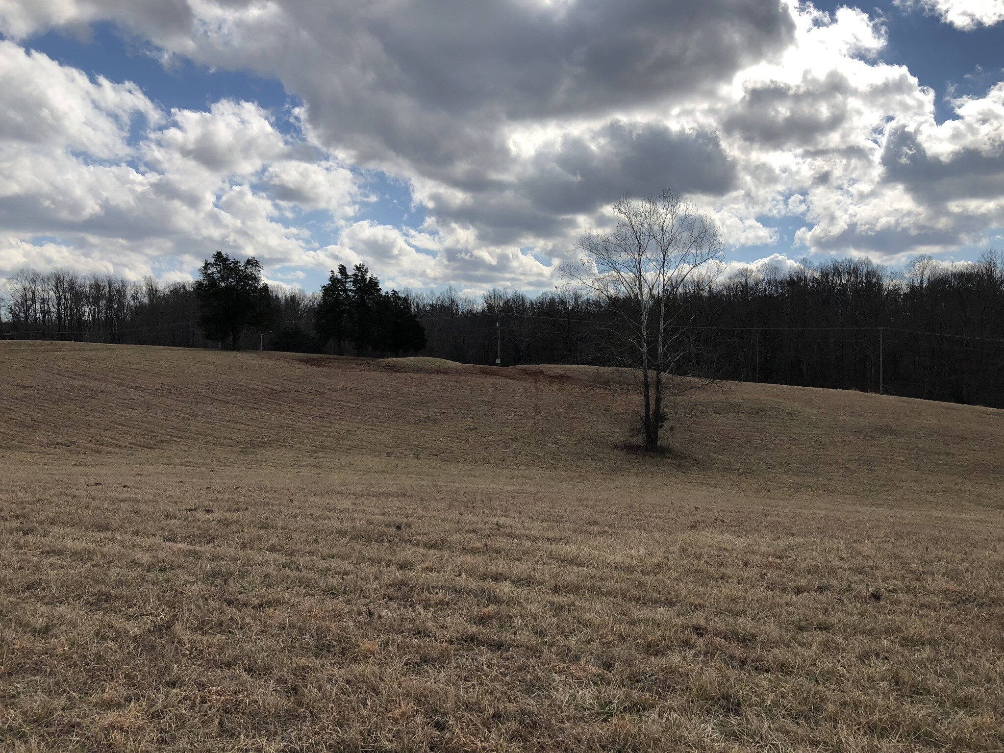 Brockman Park Drive, West & East Commerce St, Amherst, VA à vendre Autre- Image 1 de 2