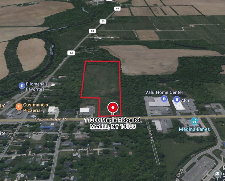 11300 Maple Ridge St, Medina, NY for sale - Building Photo - Image 2 of 7