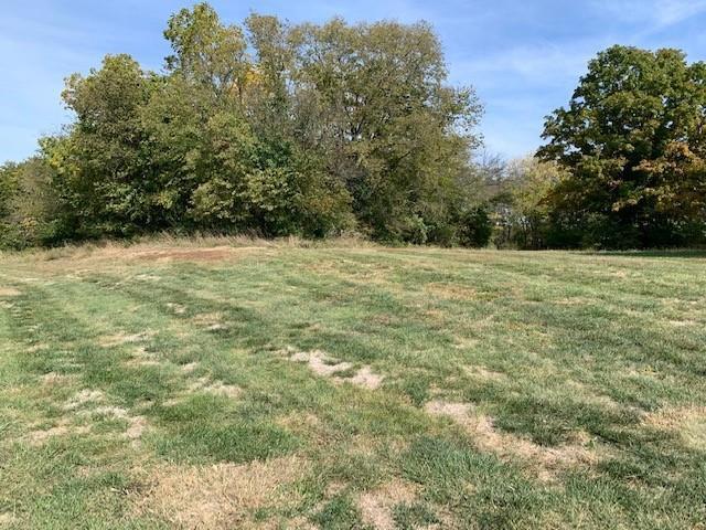 NE Twin Oaks Pkwy & J Hwy, Peculiar, MO à vendre - Photo du bâtiment - Image 2 de 5