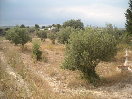 Land in Calasparra, Murcia for sale Site Plan- Image 1 of 11