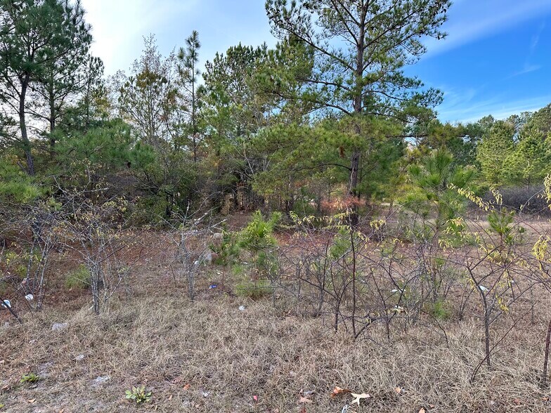 2706 Emanuel Church Rd, West Columbia, SC à vendre - Autre - Image 2 de 25