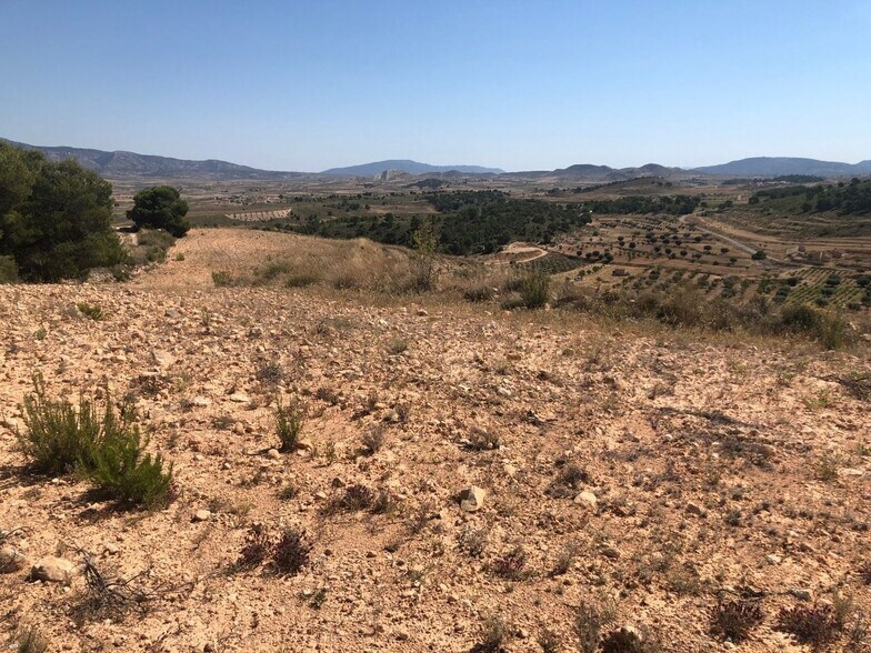 Land in La Zarza, Badajoz for sale - Aerial - Image 1 of 8