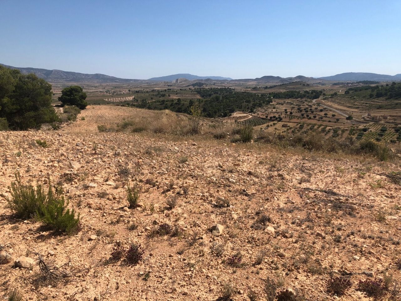 Land in La Zarza, Badajoz for sale Aerial- Image 1 of 9