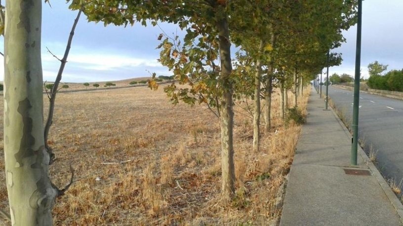 Cea, Villamayor, Salamanca for lease - Primary Photo - Image 3 of 7