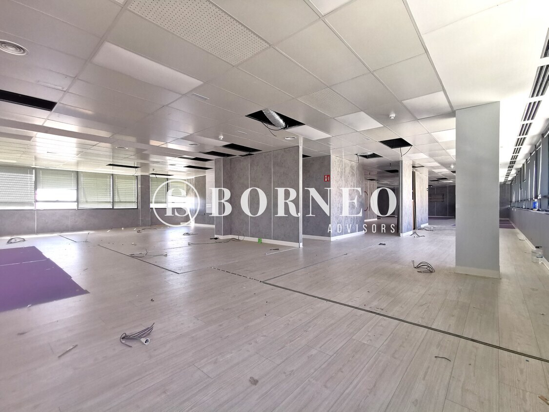 Calle Avenida Institución Libre de Enseñanza, 37, Madrid, Madrid à louer Photo intérieure- Image 1 de 11