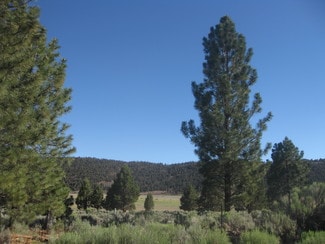 More details for 2805 Cedar, Big Bear City, CA - Land for Sale