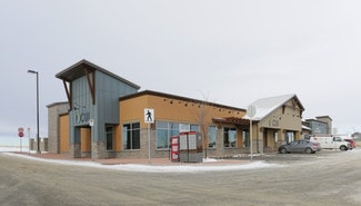 Plus de détails pour 320 West Creek Dr, Chestermere, AB - Commerce de détail à louer
