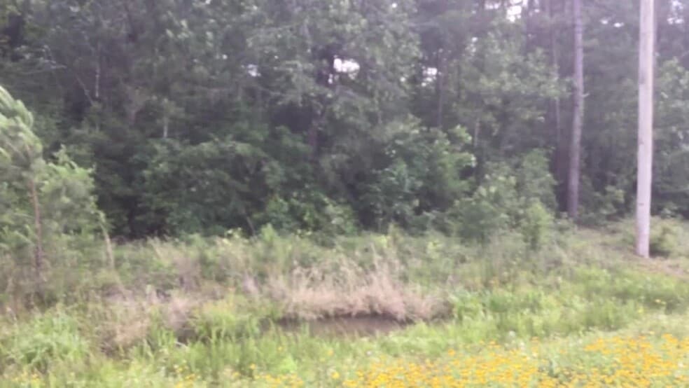 3610 E Highway 90, Liberty, TX for sale - Commercial Listing Video - Image 2 of 11