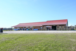 Plus de détails pour 4376 US Highway 84, Jakin, GA - Vente au détail à vendre