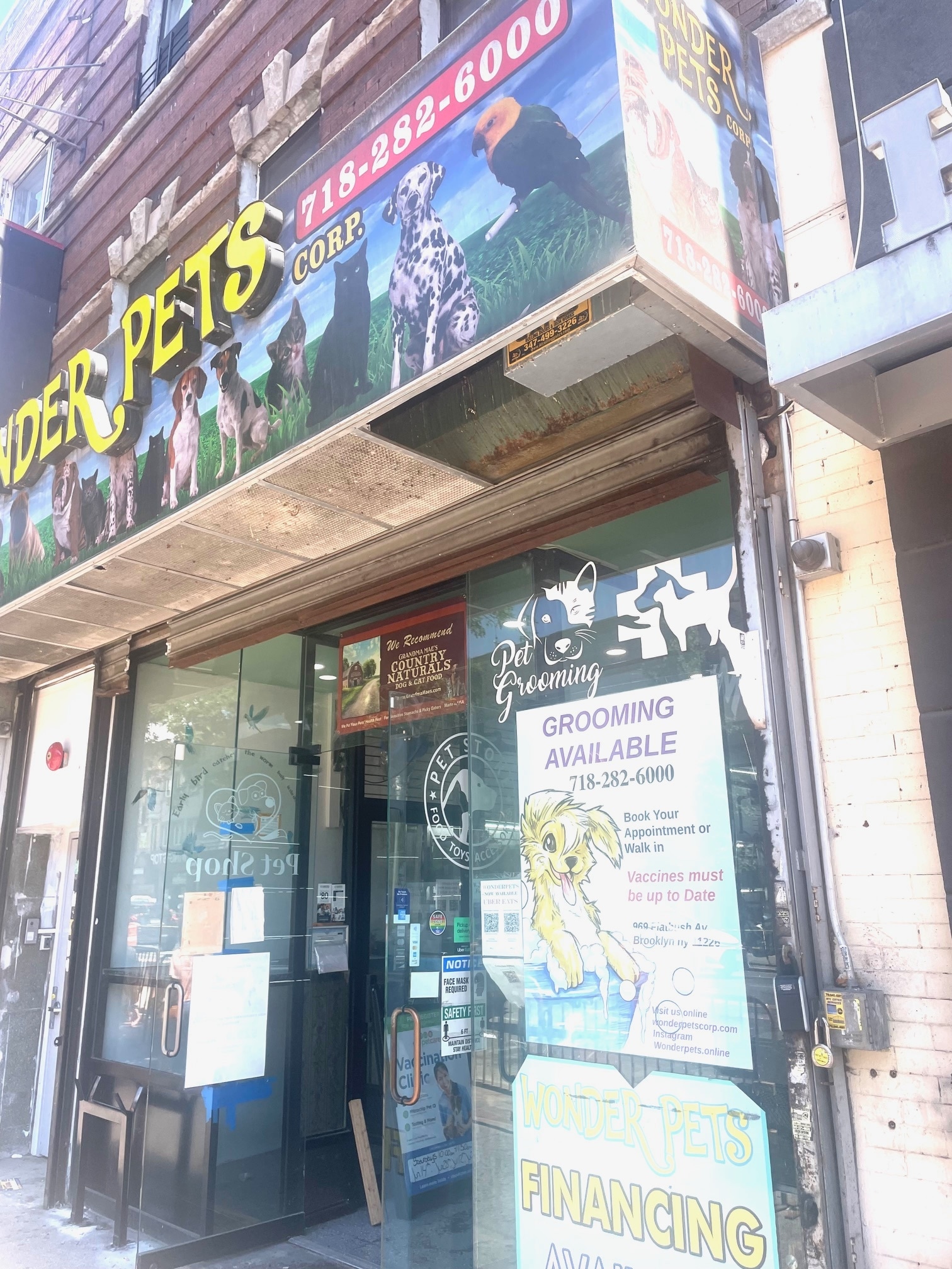 969 Flatbush Ave, Brooklyn, NY for lease Building Photo- Image 1 of 6
