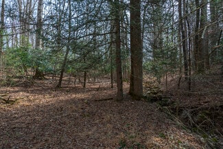 Plus de détails pour Ball Gap rd, Arden, NC - Terrain à vendre