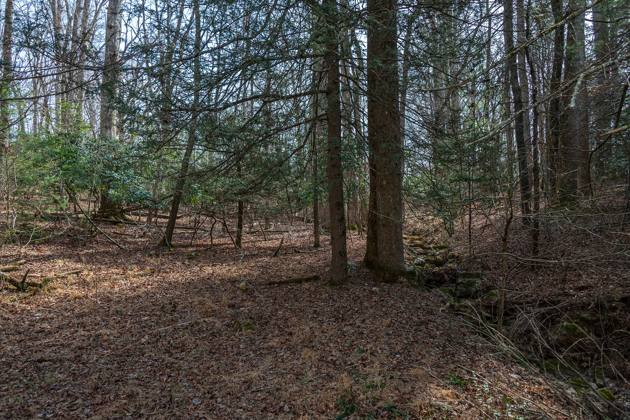 Ball Gap rd, Arden, NC for sale Primary Photo- Image 1 of 3