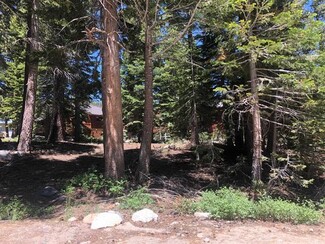 Plus de détails pour 136 Red Fir Rd, Mammoth Lakes, CA - Terrain à vendre