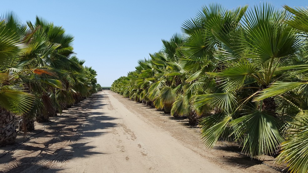 13458 E McKinley Ave, Sanger, CA for sale - Primary Photo - Image 1 of 1