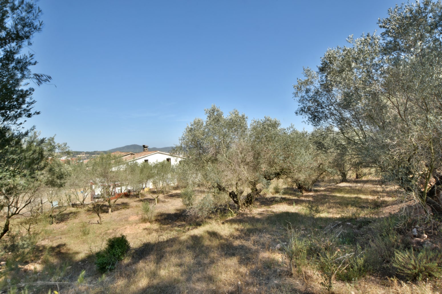 Land in Sant Andreu de la Barca, Barcelona for sale Aerial- Image 1 of 38