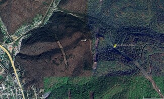More details for 0 Frozen Branch Road Rd, Cedar Grove, WV - Land for Sale