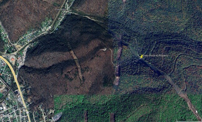More details for 0 Frozen Branch Road Rd, Cedar Grove, WV - Land for Sale