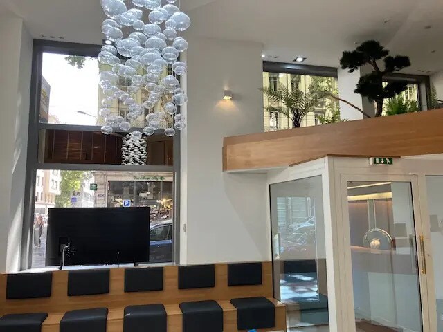 52 Avenue Maréchal De Saxe, Lyon à louer - Hall d’entrée - Image 2 de 30