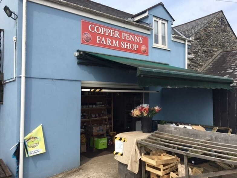 Gulworthy, Tavistock à vendre - Photo du bâtiment - Image 2 de 4