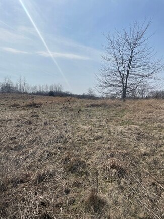 More details for 1055 Grand Ave, Lindenhurst, IL - Land for Sale