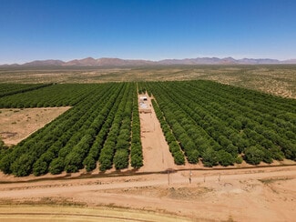 Plus de détails pour 4968 W Gleeson Rd, Elfrida, AZ - Terrain à vendre
