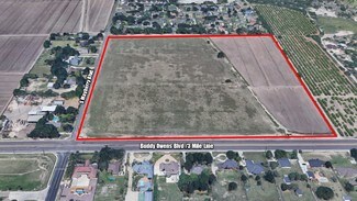 Plus de détails pour Buddy Owens Three Mile Line, Palmhurst, TX - Terrain à vendre