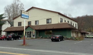 Plus de détails pour 6631 Route 191, Cresco, PA - Commerce de détail à vendre