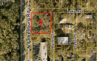 Plus de détails pour 2733 N Falkenburg Rd, Tampa, FL - Terrain à vendre