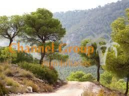 More details for Victoriano Romeral, Monovar - Monover, Collao Vict, MONÒVER - Land for Sale
