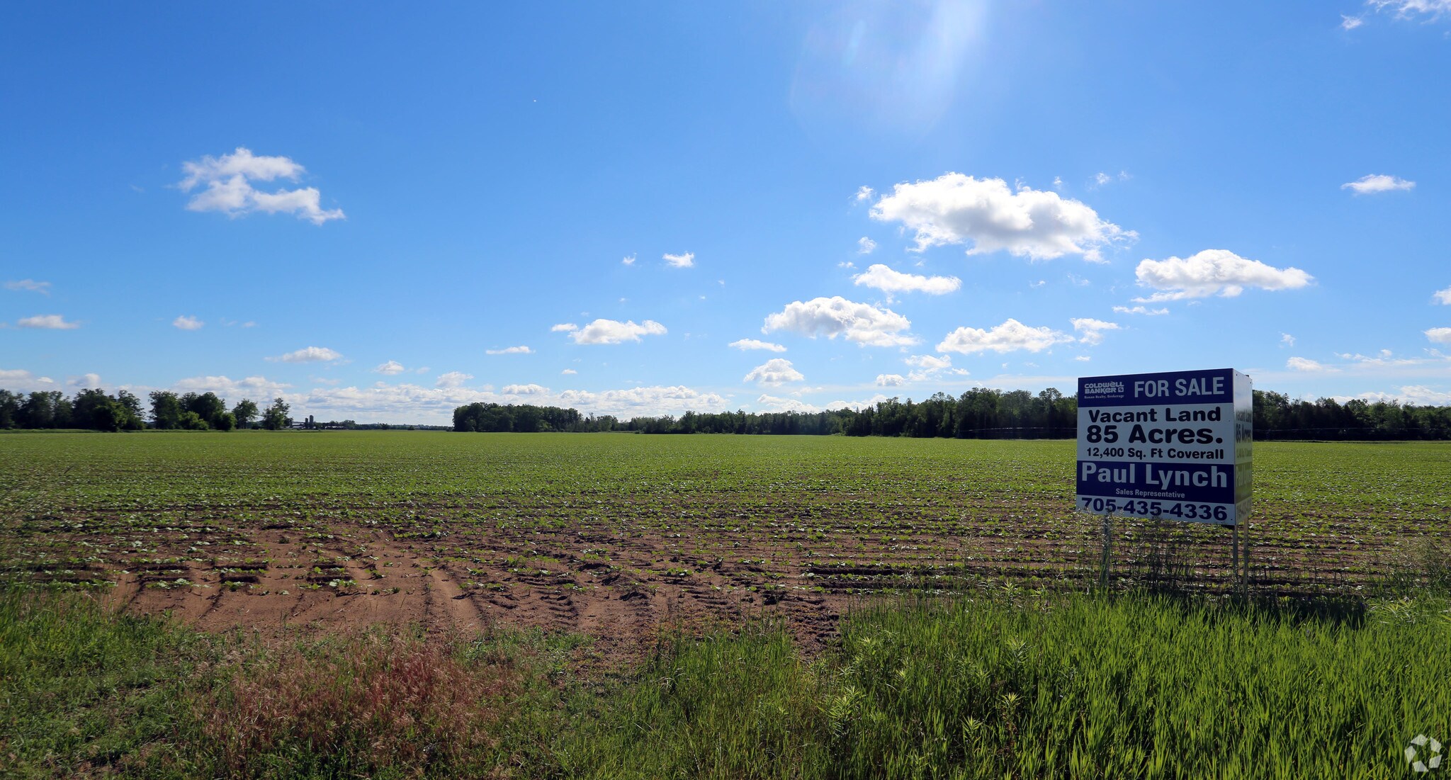 3805 Adjala Tecumseth Townline, Alliston, ON à vendre Photo principale- Image 1 de 1