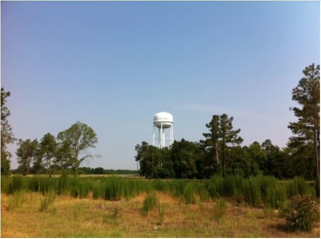 Industrial Park Rd, Sylvania, GA for sale - Other - Image 3 of 5