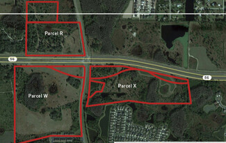 Plus de détails pour State Road 56 and Meadow Pointe Blvd. – Terrain à vendre, Wesley Chapel, FL